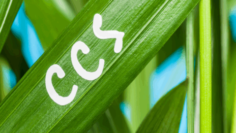 Công nghệ CCS